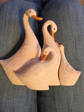 Ducks Or Geese
